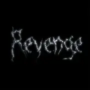 Обложка: The Revenge - Every Night