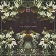 Обложка: Lost World - Stargazer