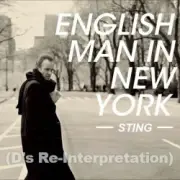 Обложка: Sting - Englishman In New York