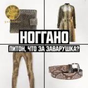 Обложка: Ноггано - Питон, что за заварушка