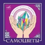 Обложка: ВИА Самоцветы - Увезу тебя я в тундру (Remastered 2024)