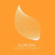 Обложка: DJ Orcidia - Echoes Of Infinity (Extended Mix)