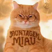 Обложка Lenar – Montagem Miau