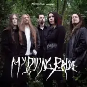 Обложка: My Dying Bride - The songless bird