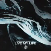 Обложка: DubVision & Nicky Romero & Oaks - Live My Life