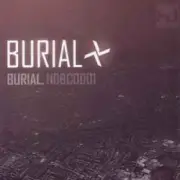 Обложка: Burial - Pussyole (RK Remix)