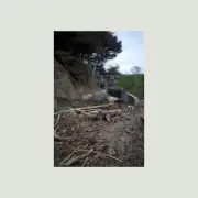 Обложка: Mac DeMarco - Rockaway