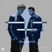 Обложка: Lucas & Steve - Feel So Good