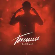 Обложка: САМЕДЛИ - БЕСИШЬ