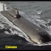 unknown - Синева