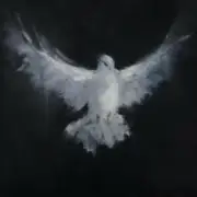 Evo 28 - Funk Spirit