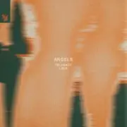 Обложка: TELYKAST & Loek - Angels