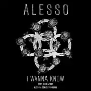Alesso feat. Nico & Vinz - I Wanna Know (Alesso & Deniz Koyu Remix)
