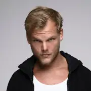 Обложка: Avicii - Diplo and Friends (seminal 2013 mix, tribute to Avicii)