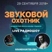 Обложка: Звуковой Охотник - Радиошоу Выпуск #1