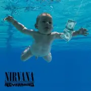 Обложка: Nirvana - Territorial Pissings