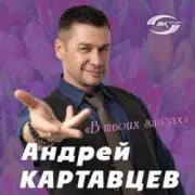 Обложка: Андрей Картавцев - Летний дождь