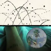 Обложка: Mount Kimbie feat. Liv.e - Adeities encore