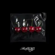 Обложка: Baby DONT Cry - F Girl