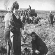 Обложка: AGROBOGER - Голова колгоспу