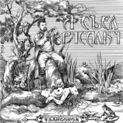 Обложка: TSARGOROX - Нет проблем