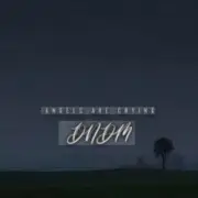 Обложка: DNDM - Angels Are Crying