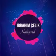 Обложка: Dj Ibrahim Celik - Haligard
