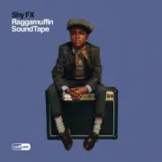 Обложка: Shy FX - Special Request