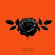 Обложка: kavabanga Depo kolibri - Троянди