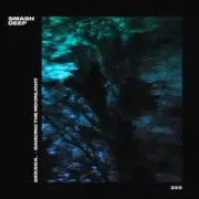 Обложка: Deran K. - Dancing The Moonlight