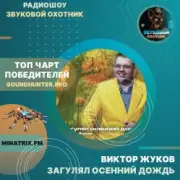 Виктор Жуков - Загулял осенний дождь