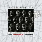 Обложка: ДДТ - Новая жизнь