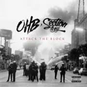 Обложка: Chris Brown & OHB x Section Boyz - Erday (feat. Chris Brown & French Montana)