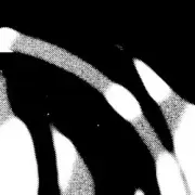 Обложка: Cardopusher - Imaginary Analysis