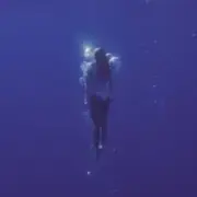 Обложка: Phil it - Пірнаю