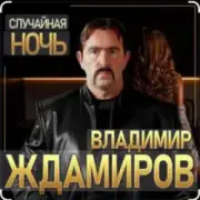 Обложка: Владимир Ждамиров - Случайная ночь