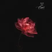 Anivar - Обещай (Kvmly & Zovo Kavkaz Remix)