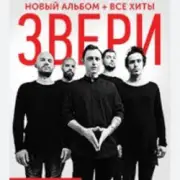 Обложка: Рома Зверев - Все что тебя касается