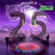 Обложка: Infected Mushroom - Disco Mushroom