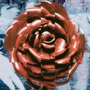 Обложка: NAQT VANE - Beautiful Mess - NV