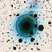Обложка: Zero 7 - Monday Night