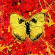 Обложка: Ed Sheeran - Shivers