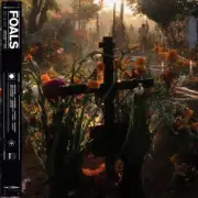 Обложка: Foals - Neptune