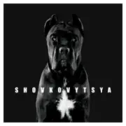 Обложка: LATEXFAUNA - Shovkovytsya