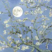 JVKE & JEON SOMI - moonboy