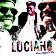 Обложка: Luciano - Shake It