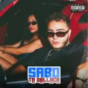 Обложка: Sabo - Brown Sugar