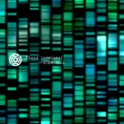 Обложка: Plaid - Return to Return