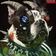 Обложка: Machine Girl - Kill All Borders [2020 Worldwide Fucker]