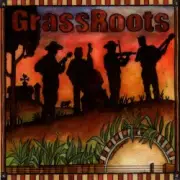 Обложка: The Grassmasters - Cold Rain And Snow